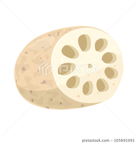 Lotus Notes 105691091