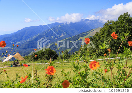 Iwatake Mountain Resort in Summer 105691236