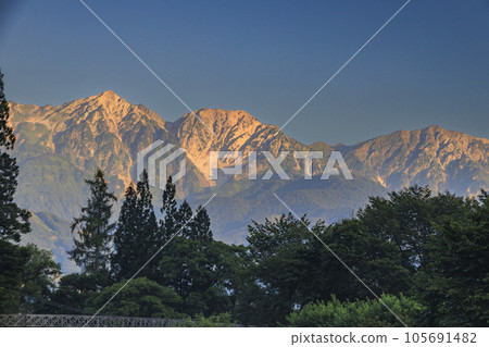 仲夏清晨大出公園和白馬三山 105691482