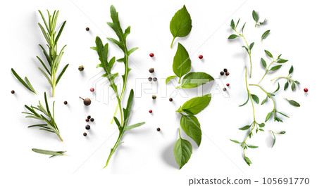 fresh mediterranean herb and spices on white background. Food design element 105691770