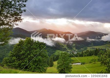 Splendid mountain valley is covered with fog after the rain with green alpine meadows. 105691848
