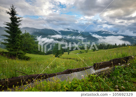 Splendid mountain valley is covered with fog after the rain with green alpine meadows. Splendid mountain valley is covered with fog after the rain with green alpine meadows. 105692329