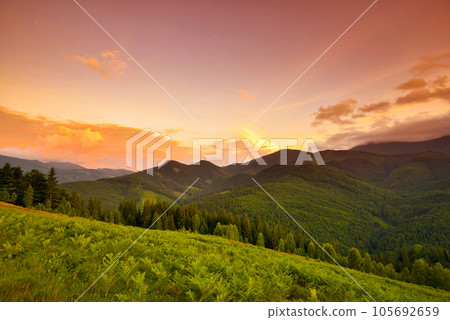 Beautiful summer sunset scene in the mountains with spectacular sky and fog. 105692659
