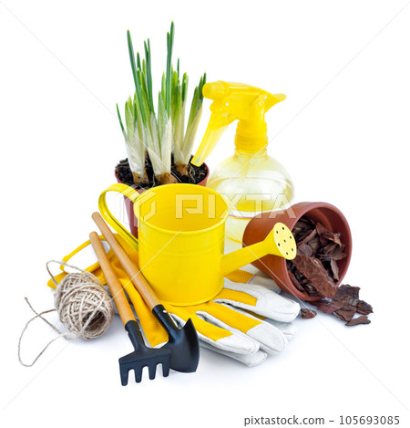 Garden tools, gloves, watering can on white background. Gardening concept. Preparation for work Garden tools, gloves, watering can on white background. Gardening concept. Preparation for work 105693085