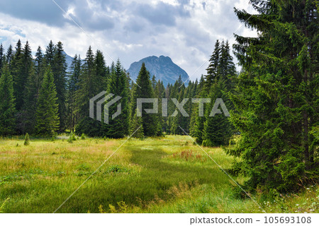 Wonderful landscape in the national park Durmitor in Montenegro, Europe. Wonderful landscape in the national park Durmitor in Montenegro, Europe. 105693108