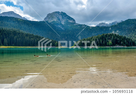 Black Lake (Crno Jezero) in Durmitor Nacional Park. Zabljak location, Montenegro Black Lake (Crno Jezero) in Durmitor Nacional Park. Zabljak location, Montenegro 105693118