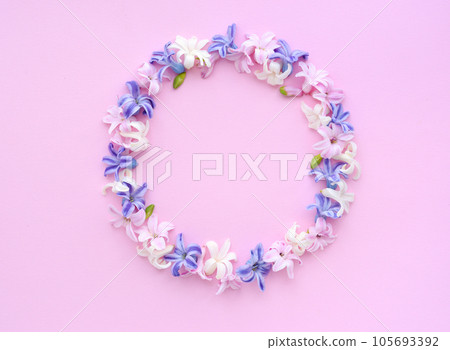 Round frame wreath pattern of multicolored hyacinth flowers on pink background.  105693392