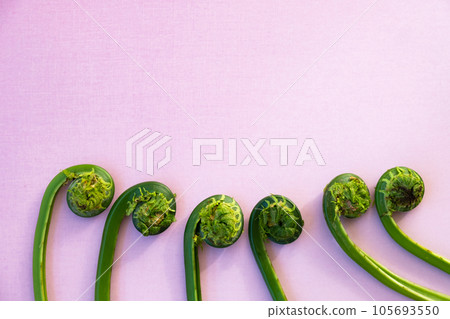 Kogomi (Kusasotetsu) 105693550