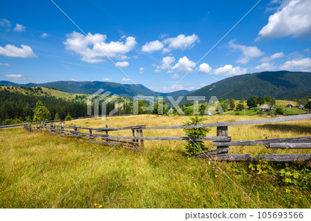 Beautiful mountain landscape and bright trees in sunlight. Carpathian, Ukraine, Europe. Beautiful mountain landscape and bright trees in sunlight. Carpathian, Ukraine, Europe. 105693566