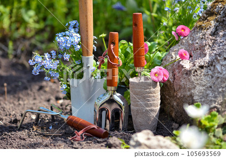 Gardening tools and spring flowers in the garden. Gardening concept. Gardening tools and spring flowers in the garden. Gardening concept. 105693569