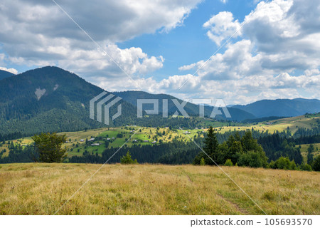 Beautiful mountain landscape with colorful herbs. Carpathian, Ukraine, Europe 105693570