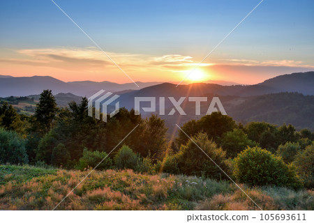 Fantastic sunset and bright grass in sunlight. Carpathian, Ukraine, Europe. Fantastic sunset and bright grass in sunlight. Carpathian, Ukraine, Europe. 105693611