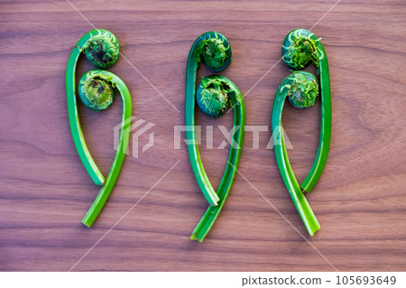 Background material of Kogomi (Kusaso Tetsu) Background material of Kogomi (Kusaso Tetsu) 105693649