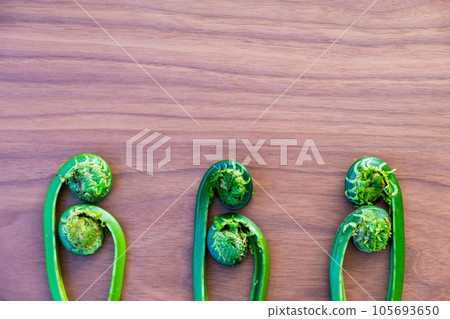 Kogomi(Kusaso Tetsu)的背景材料 Kogomi(Kusaso Tetsu)的背景材料 105693650