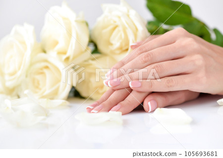 Hands of a woman with beautiful french manicure and white roses Hands of a woman with beautiful french manicure and white roses 105693681