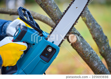 A gardener pruns trees with a lightweight cordless chain saw. Work in the autumn garden. A gardener pruns trees with a lightweight cordless chain saw. Work in the autumn garden. 105693698