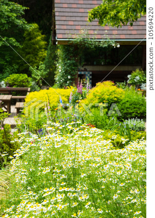 《Kobe City》 Botanical garden located in the mountains Nunobiki Herb Garden / 105694220