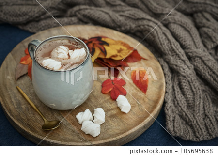 hot cocoa with marshmallow and autumn colorful leaves 105695638