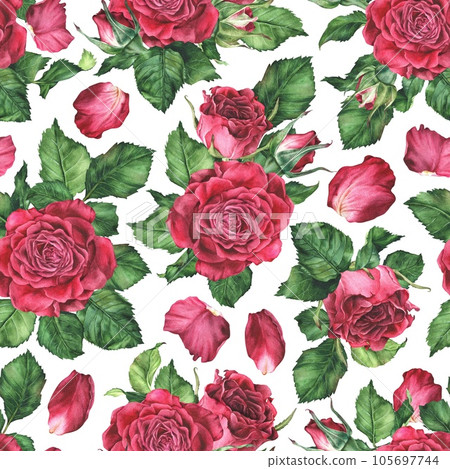 Seamless pattern with pink roses. Watercolor botanical illustration. Isolated on a white background. Hand drawn flower, leaves and petals. For the design of women's clothing, bed linen, fabrics 105697744