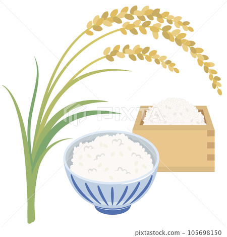 稻稈和馬蘇中的米飯和米飯 稻稈和馬蘇中的米飯和米飯 105698150