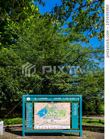 Ueno Park guide map and green trees (vertical position, bottom alignment) Ueno Park guide map and green trees (vertical position, bottom alignment) 105698960