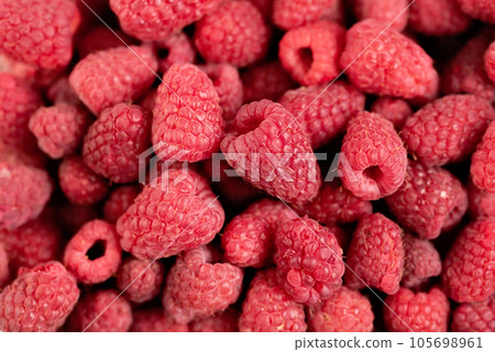 Ripe juicy fresh raspberries. Natural food background. Berries and fruits. Summer vitamins. Healthy diet Ripe juicy fresh raspberries. Natural food background. Berries and fruits. Summer vitamins. Healthy diet 105698961