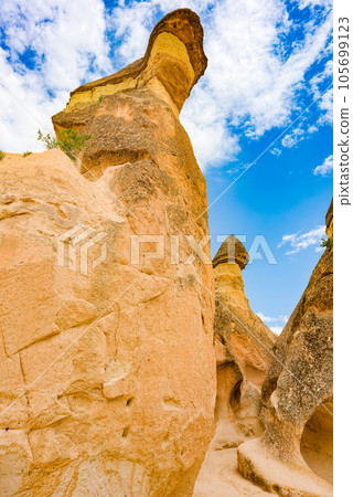 Place in Cappadocia-Fairy Chimneys (Pasabag Valley). Place in Cappadocia-Fairy Chimneys (Pasabag Valley). 105699123