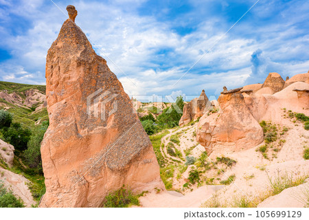 Cappadocia-Devrent Valley(Imagination Valley). 105699129