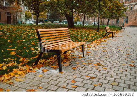 Lonely wooden bench in the autumn city park. Gdansk, Poland 105699198