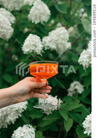 Female hand holding glass with Spritz Aperol alcohol summer drink outside on the blurred background of green park. Female hand holding glass with Spritz Aperol alcohol summer drink outside on the blurred background of green park. 105699519
