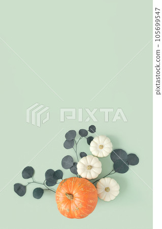 Autumn composition. Green desk with pumpkins and eucalyptus branch. Flat lay, top view, copy space. Nordic, hygge, cozy home concept. Thanksgiving fall decoration. Halloween Modern Invitation Mock up 105699547