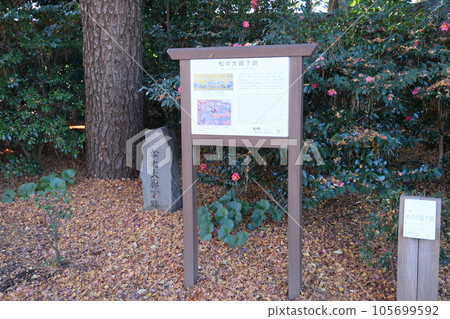 故宮東花園大廊遺址風光 故宮東花園大廊遺址風光 105699592