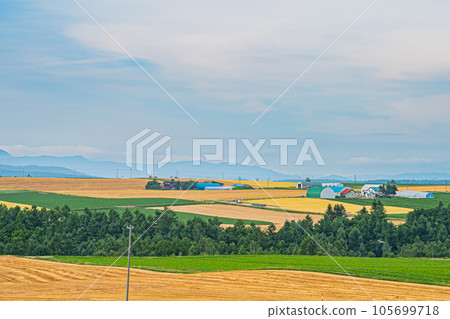 Furano scenery in summer Furano scenery in summer 105699718