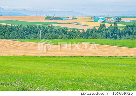 夏天的富良野風景 夏天的富良野風景 105699720