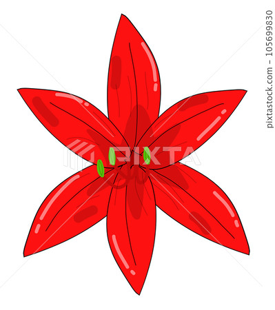 red flower isolated on white	 105699830