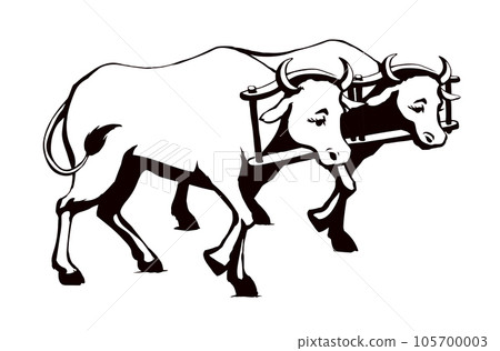 Vector drawing. Old wooden yoke on the cow Vector drawing. Old wooden yoke on the cow 105700003
