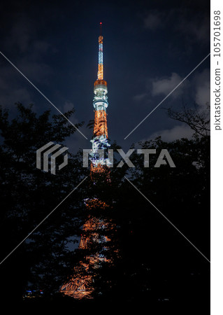 The beautiful view in Tokyo The beautiful view in Tokyo 105701698