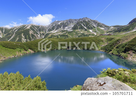 初夏的北阿爾卑斯山室堂和禦庫裡池 105701711