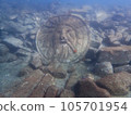 The Mouth of Truth on the Seabed at Izu Shishihama Point 105701954