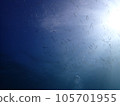 A school of juvenile sardines seen while diving in Izu 105701955