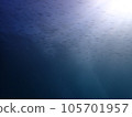 A school of juvenile sardines seen while diving in Izu 105701957
