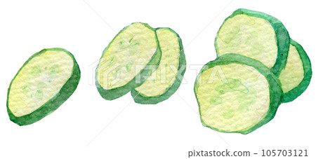 Watercolor illustration sliced cucumber 105703121
