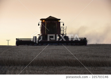 Harvester machine, harvesting in the Argentine countryside, Buenos Aires province, Argentina. 105703146