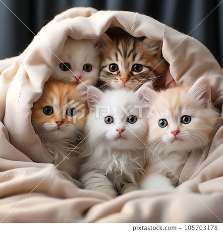 A group of charming and adorable kittens nestled together in a comfortable blanket fortress. 105703178