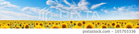 Blue sky and sunflower banner 105703336