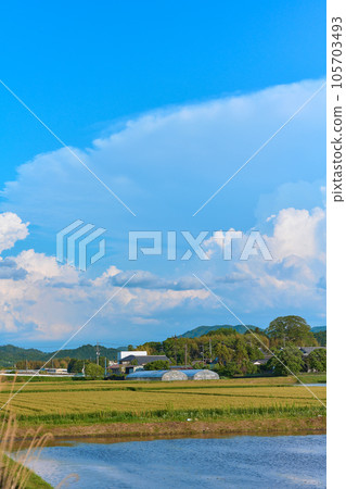A rural landscape with a disk-shaped cloud 105703493