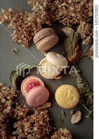 Macaroons with dried flowers. 105703803
