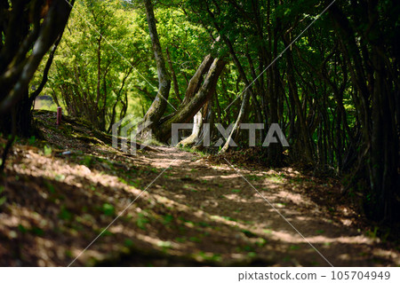 Mountain road Mountain road 105704949