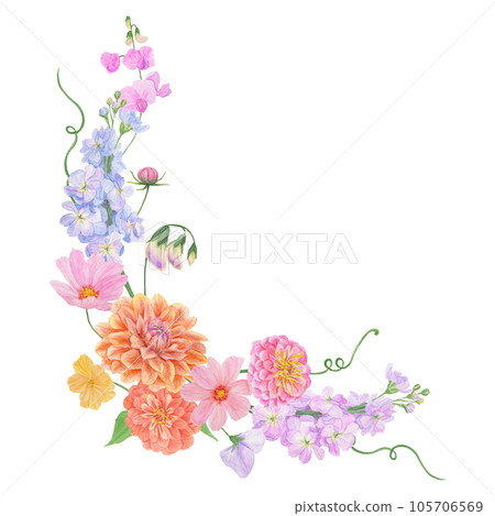 Watercolor botanical colourful frame of summer and autumn flowers: dahlia, zinnia, lathyrus, gillyflower, nasturtium. Good for wedding print products, paper, invitations, greetings, fabric, posters 105706569