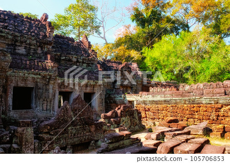 Jungle secrets revealed Jungle secrets revealed 105706853